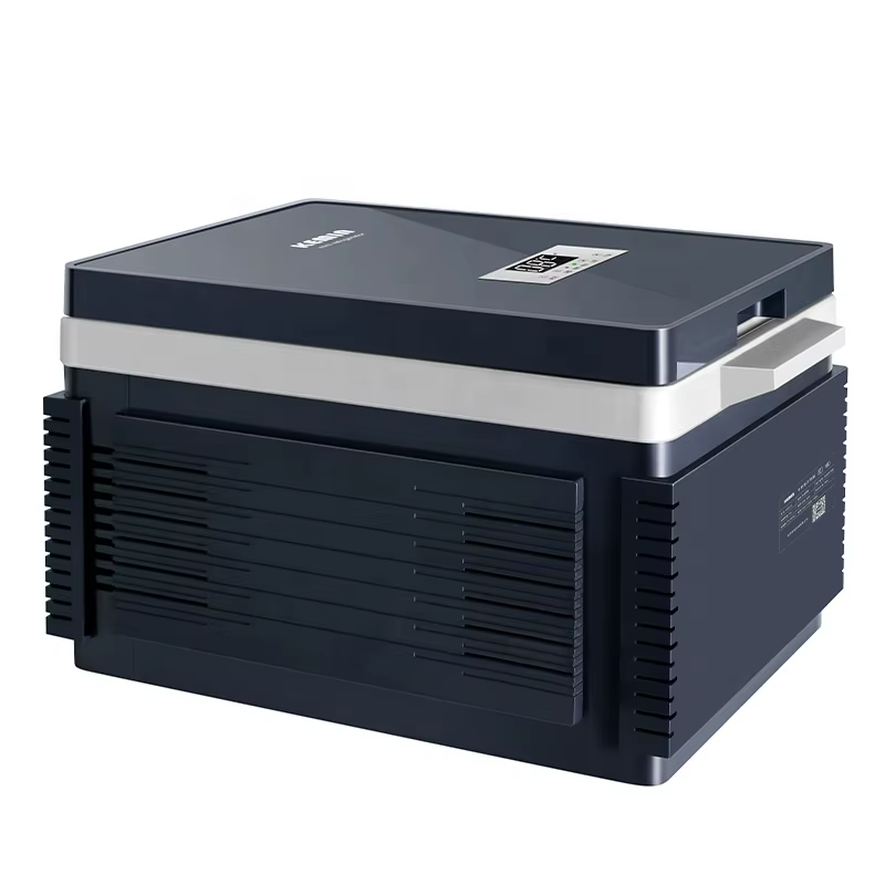 Car Fridges 12v/24v/220v Ready for Shipping Private 12L Camping
