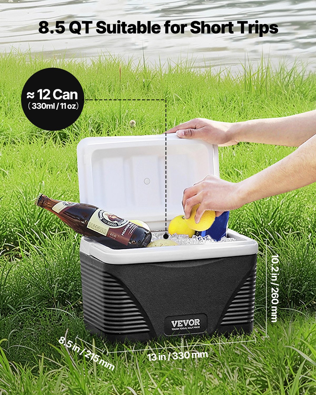 Portable Cooler 8.5 Qt Insulated Hard 12 Can Capacity with