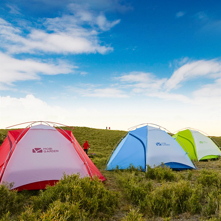 2-Person Ultralight Double-Layer Aluminium Camping Tent